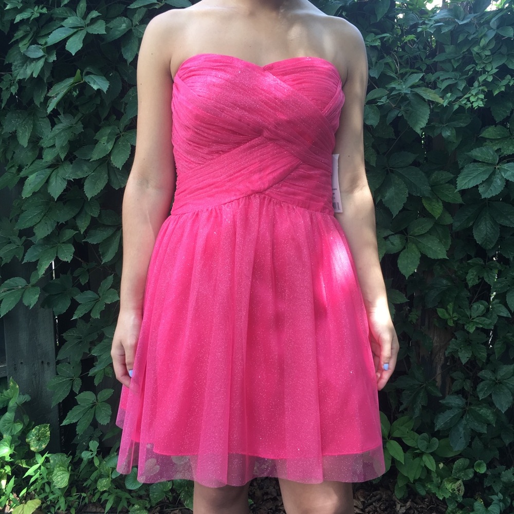 Adriana Papell Sparkly Pink Dress